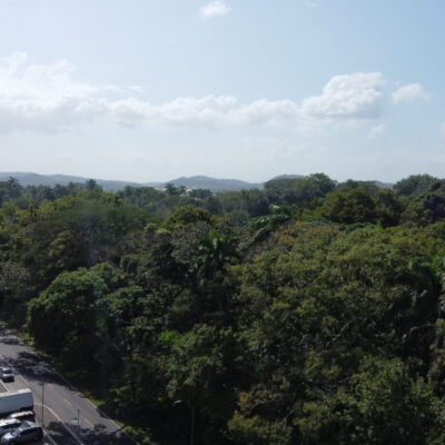 DCIM100MEDIADJI_0620.JPG
